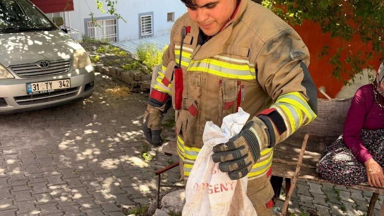 İskenderun’da Evde Yılan Paniği Yaşandı (2)