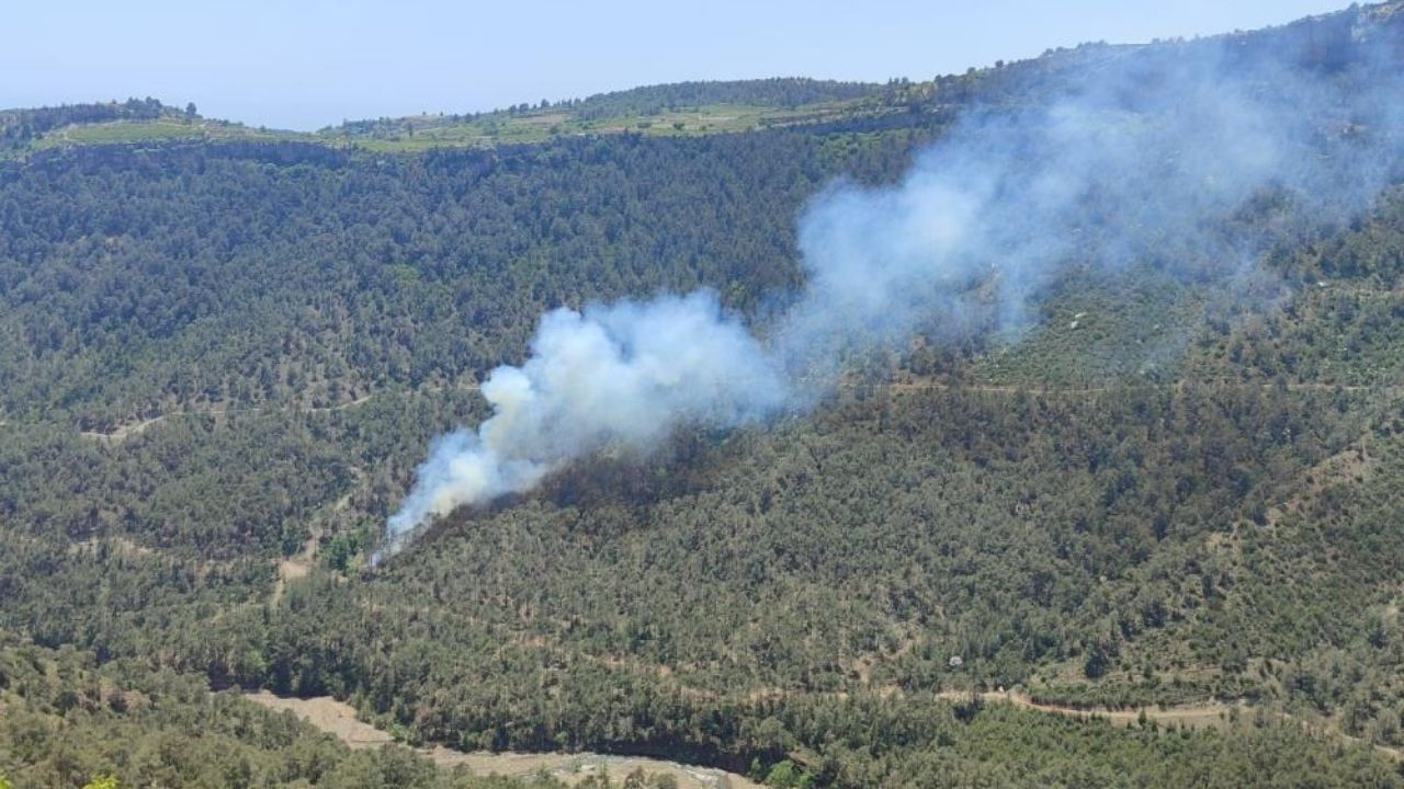 Mersin Erdemli'de Orman Yangını 1,5 Hektar Alan Zarar Gördü