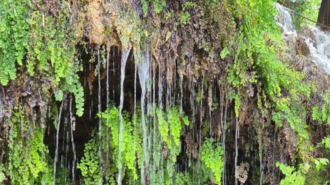 Osmaniye Hatay Harbiye Şelalesi (4)