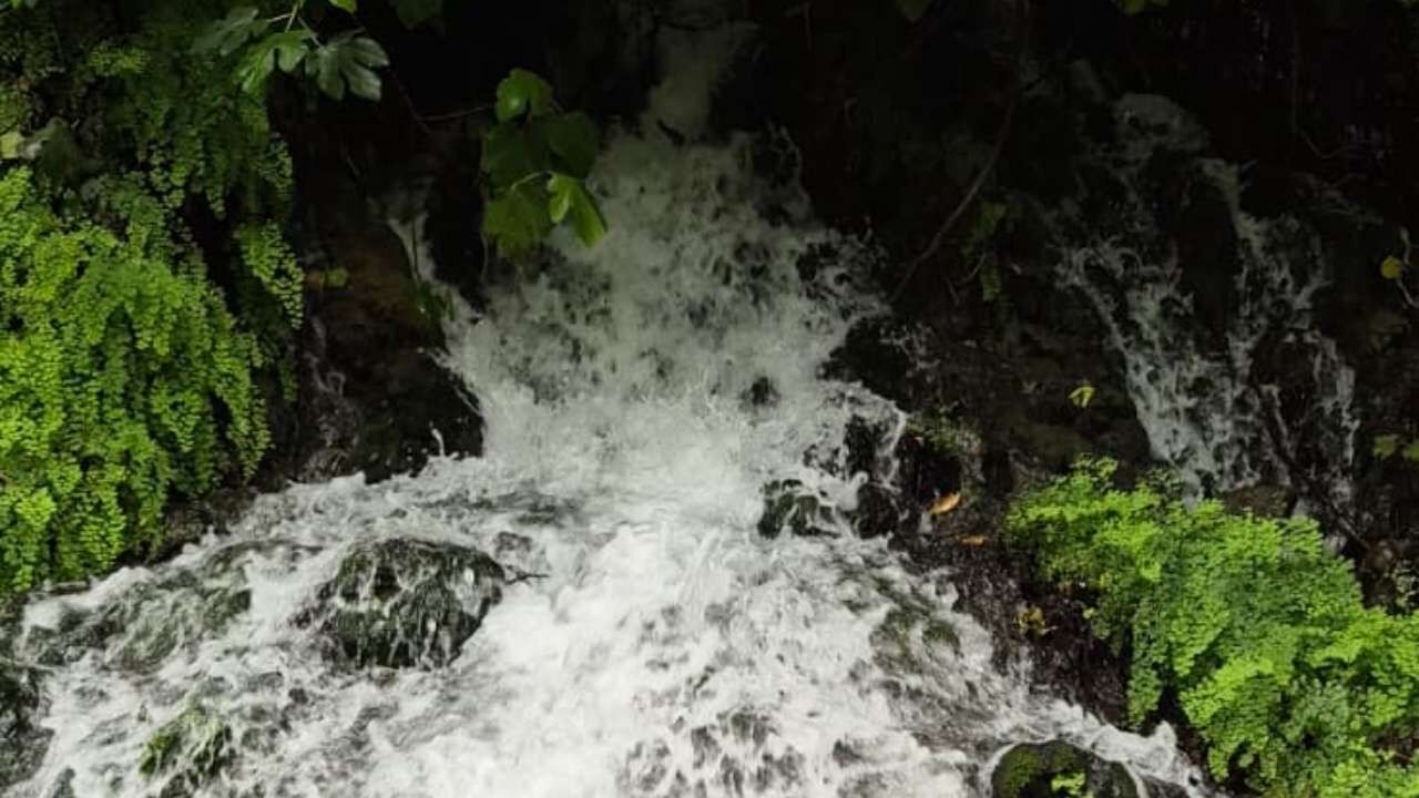 Osmaniye Hatay Harbiye Şelalesi (9)