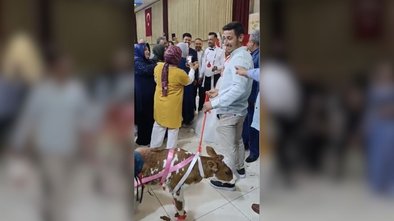 Osmaniye’de Düğünde Takılan Takı Herkesi Şoke Etti Salona Canlı Getirdiler! (1)