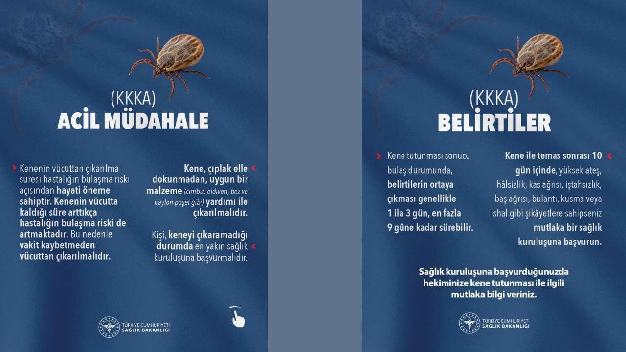 Osmaniye'de Kene Tehdidine Karşı Hayati Uyarı (1)