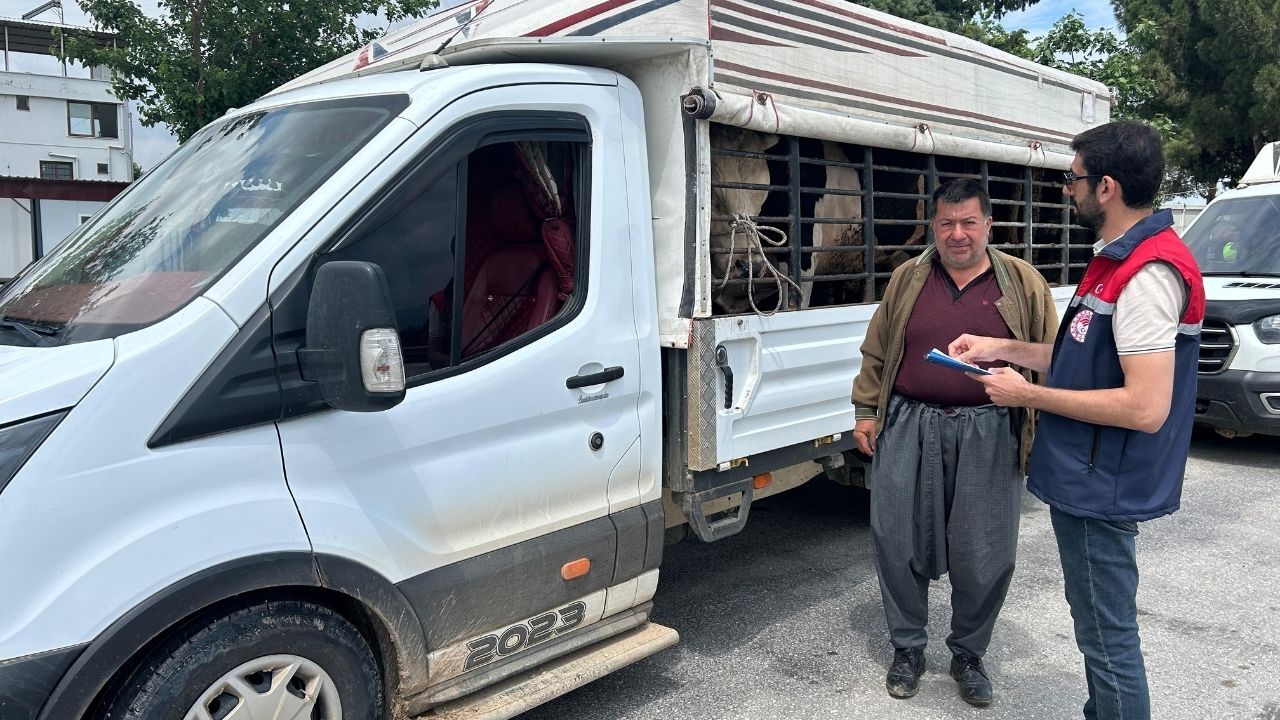 Osmaniye'de Kurban Bayramı Öncesi Sıkı Hayvan Sevkiyatı Denetimi (1)