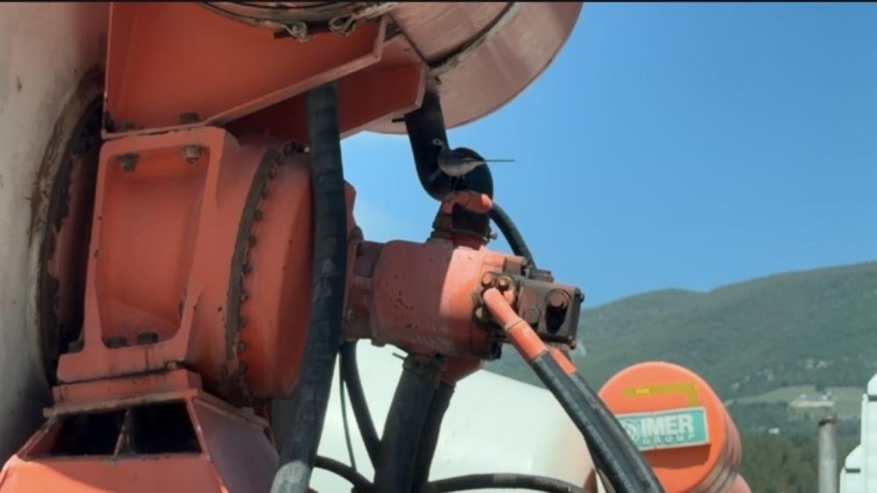 Osmaniye'de Örnek Davranış 5 Yavru Kuş İçin Beton Mikserini Durdurdular! (1)