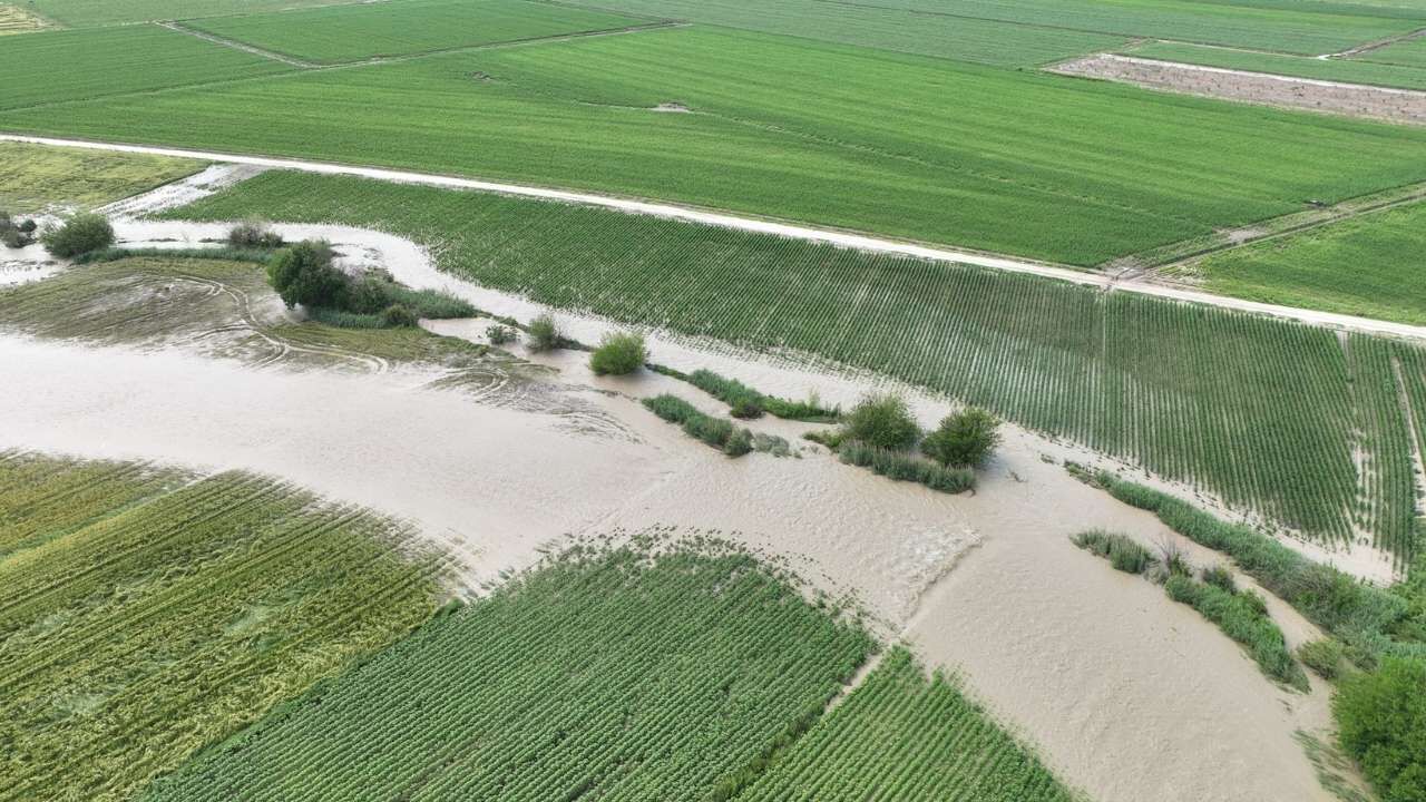 Osmaniye’de Tarımda Sel Hasarı Tespiti