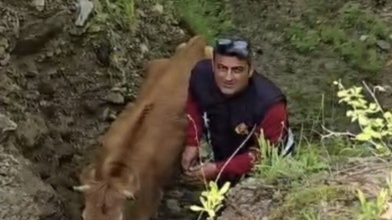 Osmaniye'de Uçuruma Düştü 2 Gün Sonra Kurtarıldı (1)