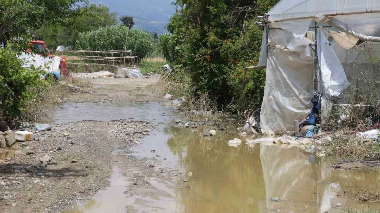 Samandağ'da Sular Çekildi, Acı Tablo Ortaya Çıktı (2)
