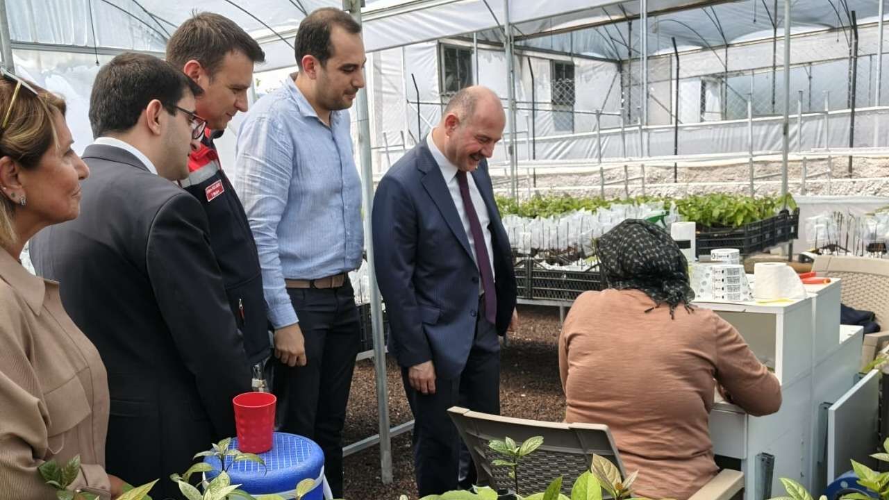 Sumbas Ekonomisine Avokado Dopingi Vali Yerinde İnceledi (1)
