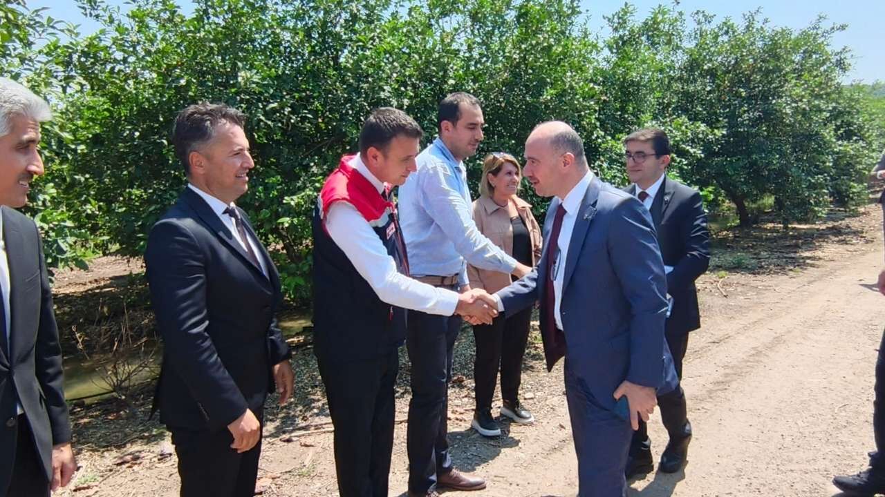 Sumbas Ekonomisine Avokado Dopingi Vali Yerinde İnceledi (3)