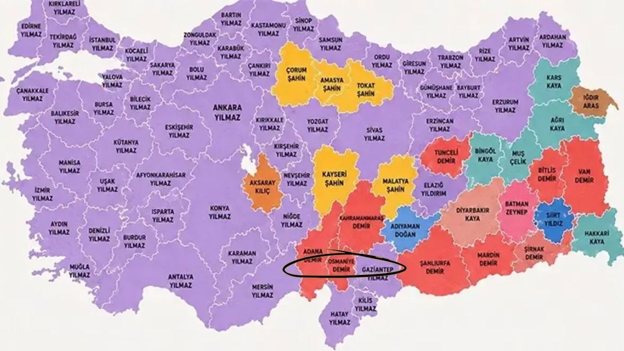 Türkiye En Çok Kullanılan Soyisim Haritası