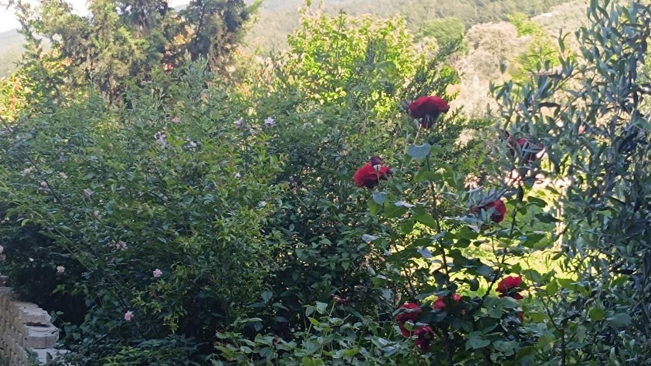 Yaman Apartmani Fakiusagi (2)