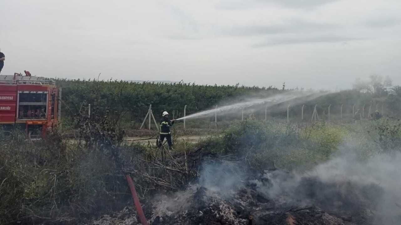 Zeytinlik Yangınına İtfaiye Ekiplerinden Hızlı Müdahale (1)