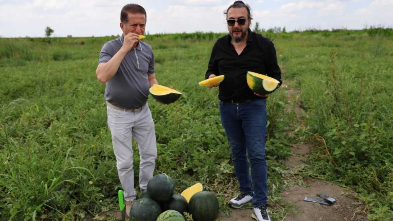 Adana Tarlalarında Yetişen İçi Sarı Karpuz Herkesi Şaşırtıyor (3)