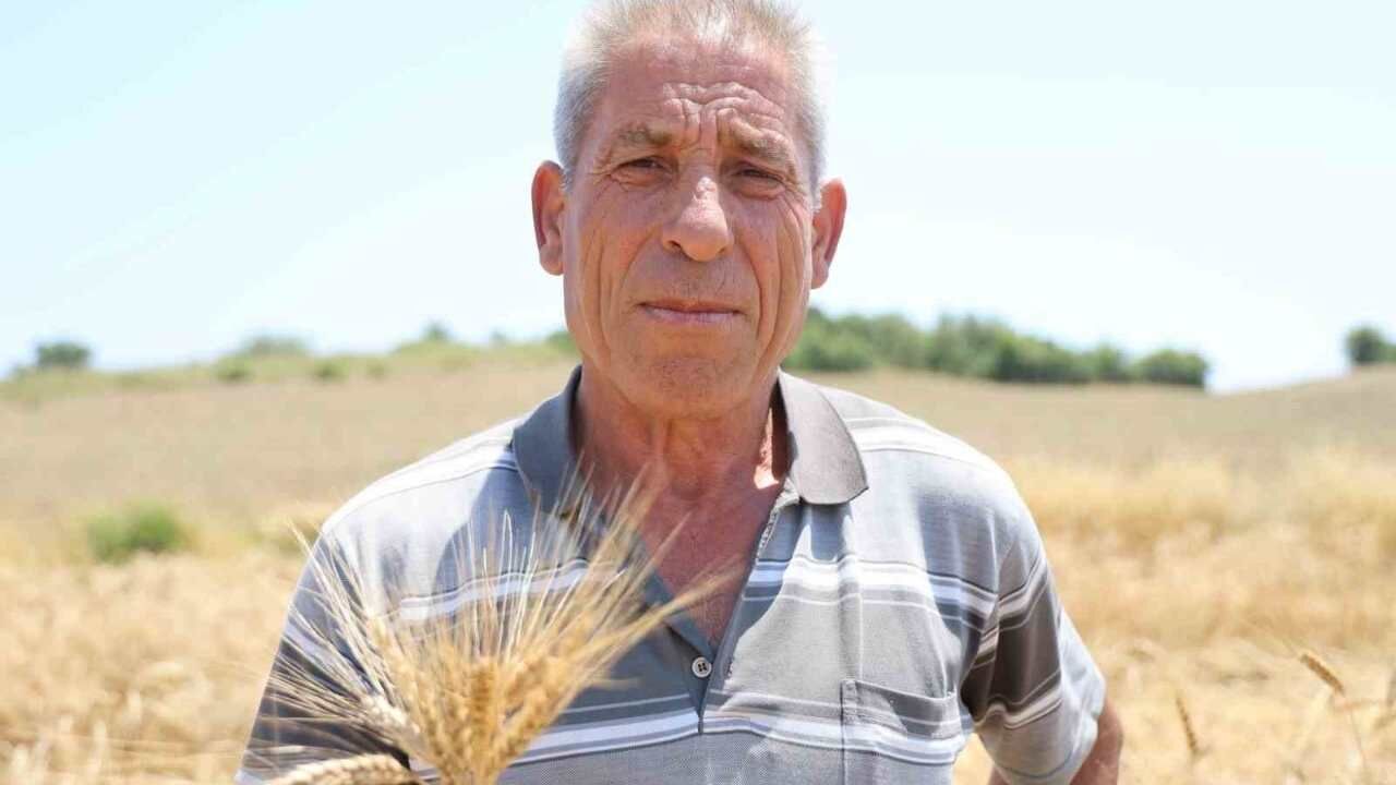 Adana Topraklarında Ata Tohumu Karakılçık Buğdayı Nasıl Geri Döndü (2)