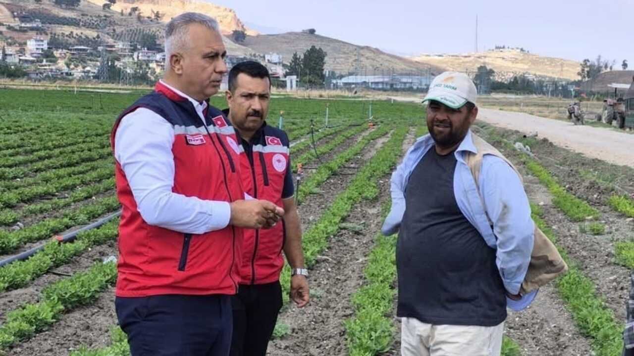Antakya Bölgesinde Yer Fıstığı Hasadı Öncesi Hangi Denetimler Yapıldı (2)