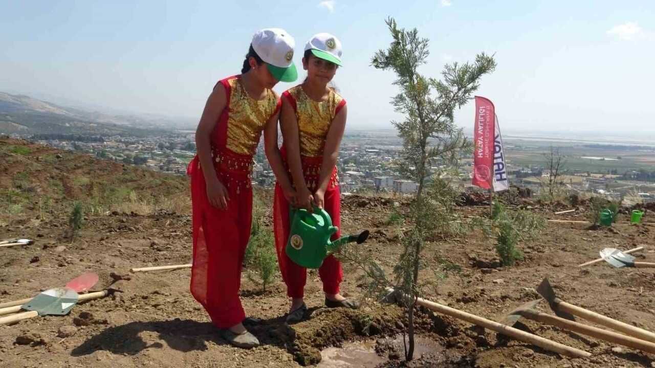 Antakya Orman Yangınlarından Sonra Yeşil Vatan Nasıl Korunuyor (2)