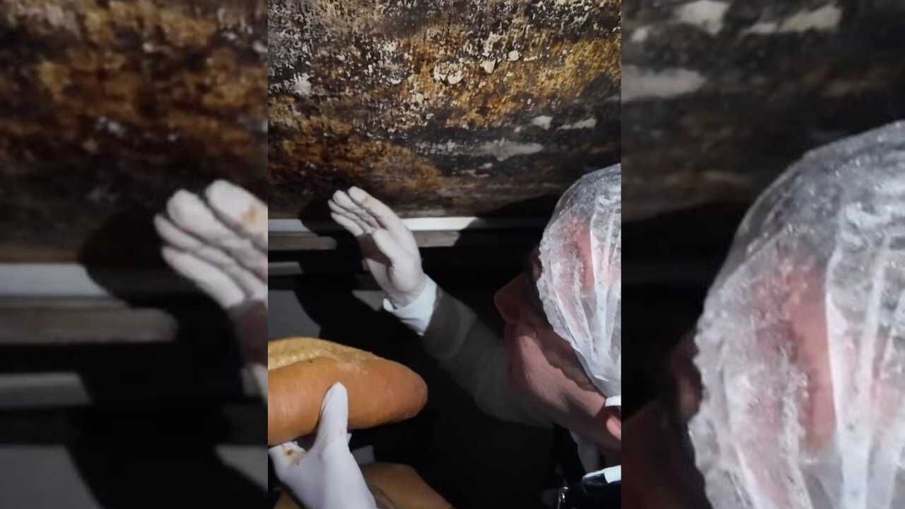 Dörtyol'da Ekmek Üretimi Yapan Işletmeler Ne Kadar Hijyenik (2)