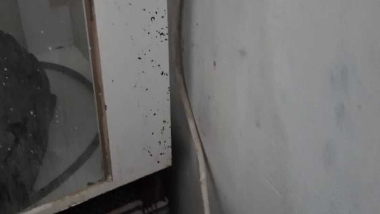 Dörtyol'da Ekmek Üretimi Yapan Işletmeler Ne Kadar Hijyenik (3)