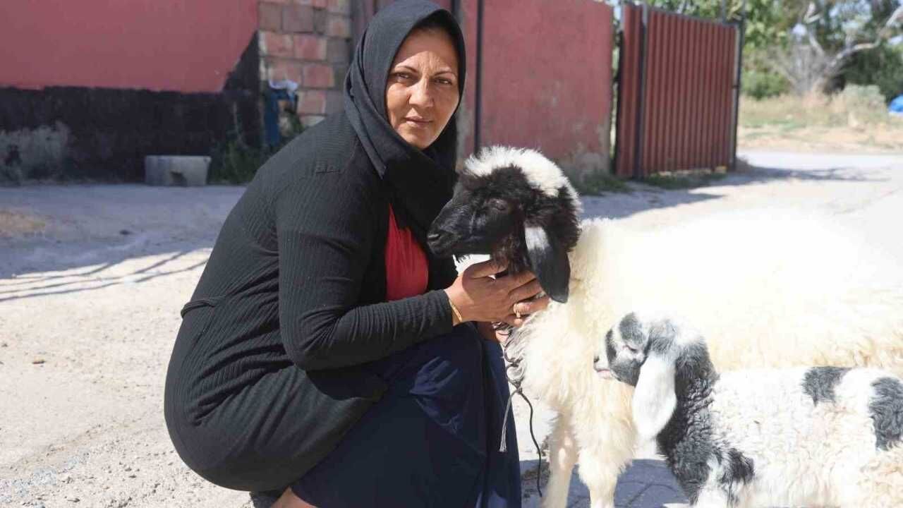 Evladını Kaybeden Anne Teselliyi Buldu (2)