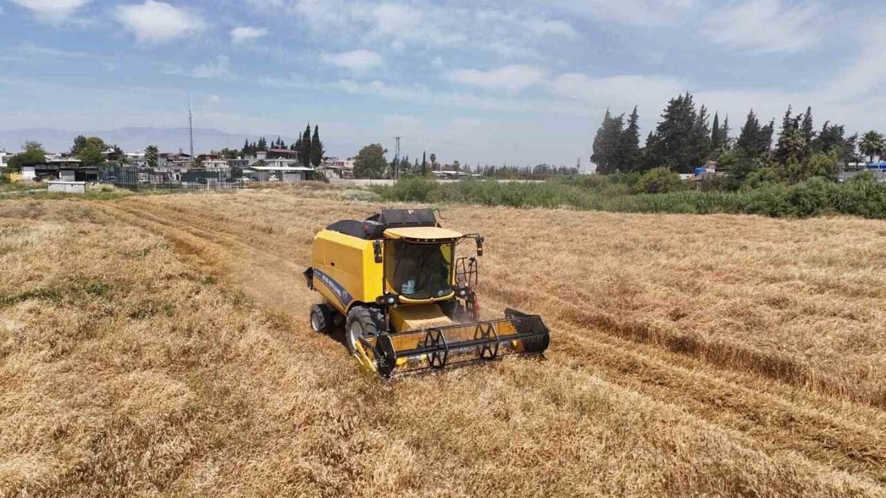 Gençleri Tarıma Teşvik Eden Projede Hasat Zamanı (2)