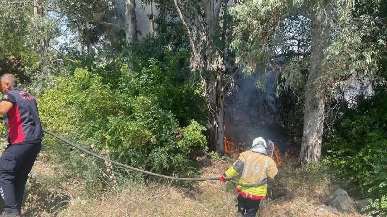 Hassa Hallalar Mahallesinde Bahçe Yangını Çıktı (2)
