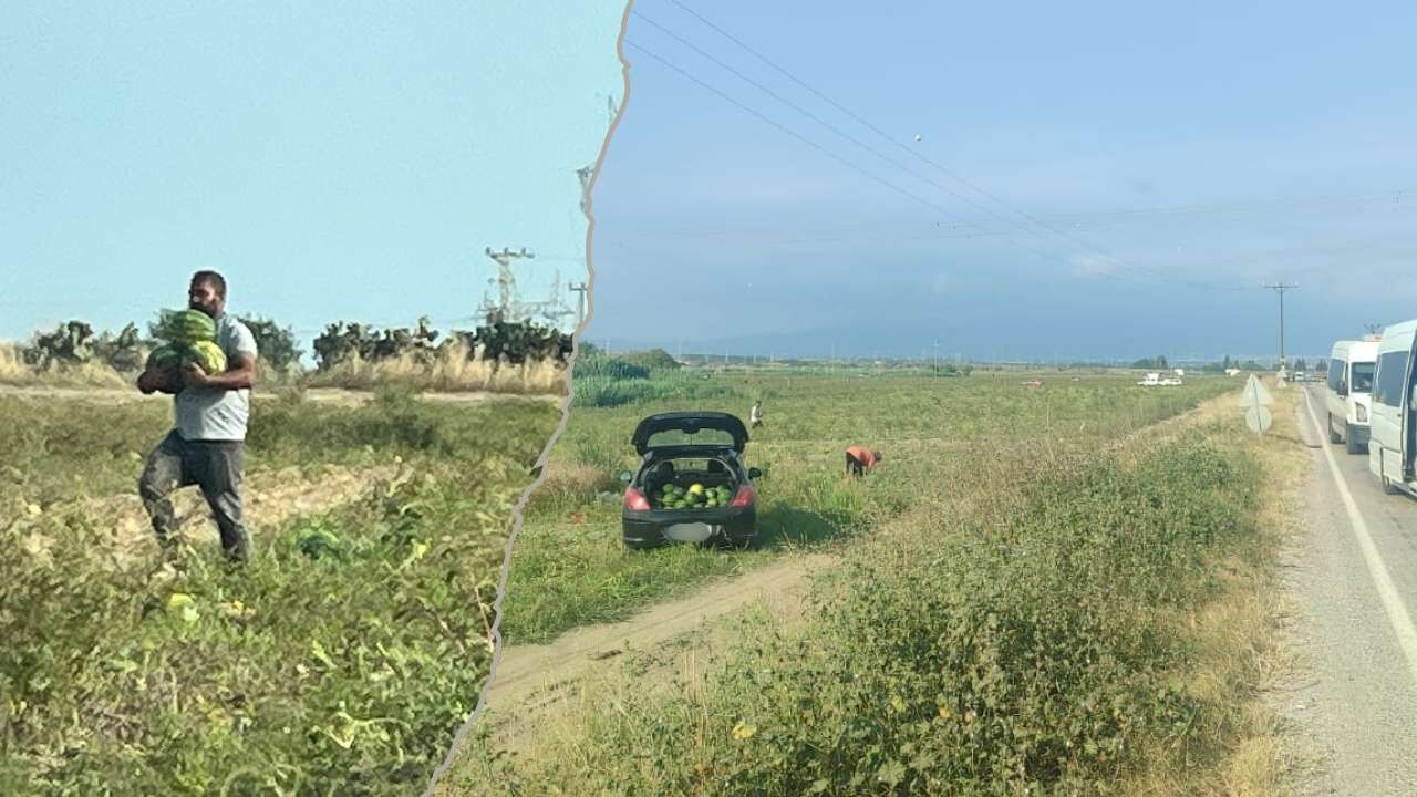 Hatay'da Bedava Karpuz İzdihamı (1)