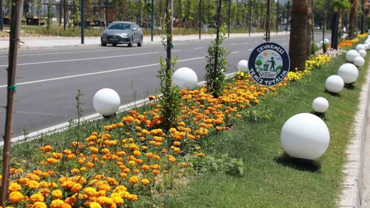 İskenderun Sahil Şeridi Yapılan Peyzaj Çalışmalarıyla Değişti (1)