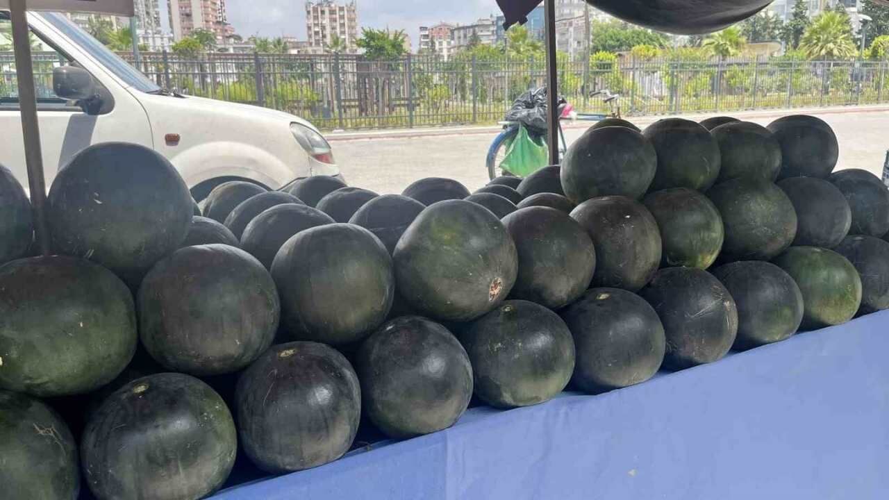 İyi Ve Tatlı Karpuz Nasıl Seçilir (2)-1