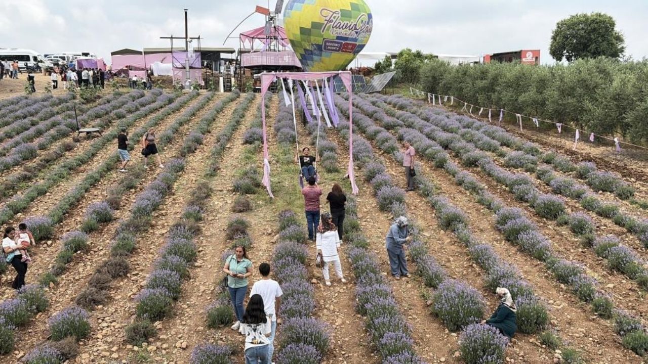 Osmaniye'de Mor Şölen Fotoğraf Tutkunlarının Gözdesi Oldu
