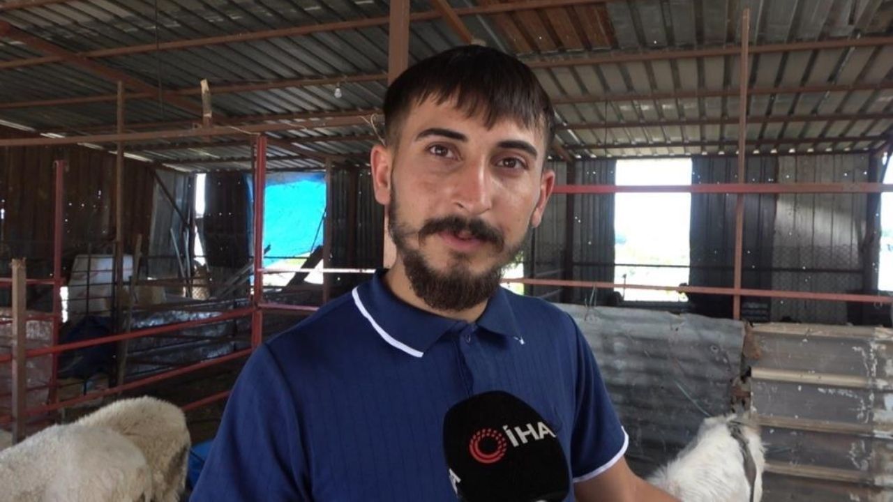 Örenler Yapay Zeka Sandı Osmaniye'de Kulağından Boynuz Çıkan Keçiye Teklif Yağıyor! (3)