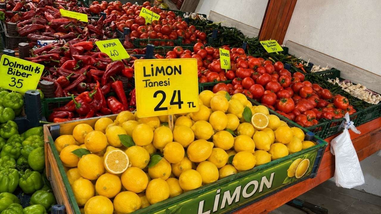 Osmaniye Limon Fiyatları (1)-1