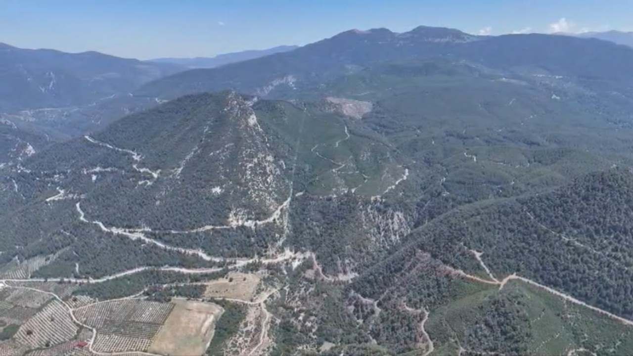Osmaniye Ormanlarında Kuş Uçurtulmuyor! (1)