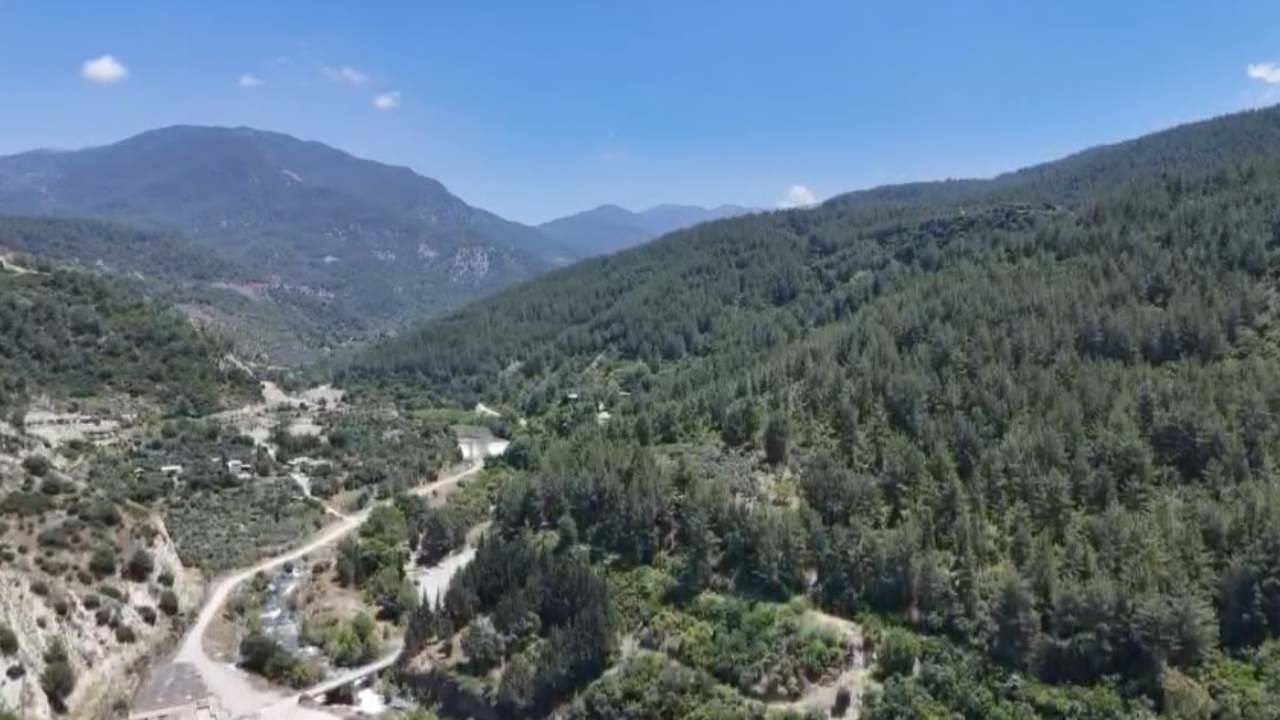 Osmaniye Ormanlarında Kuş Uçurtulmuyor! (3)