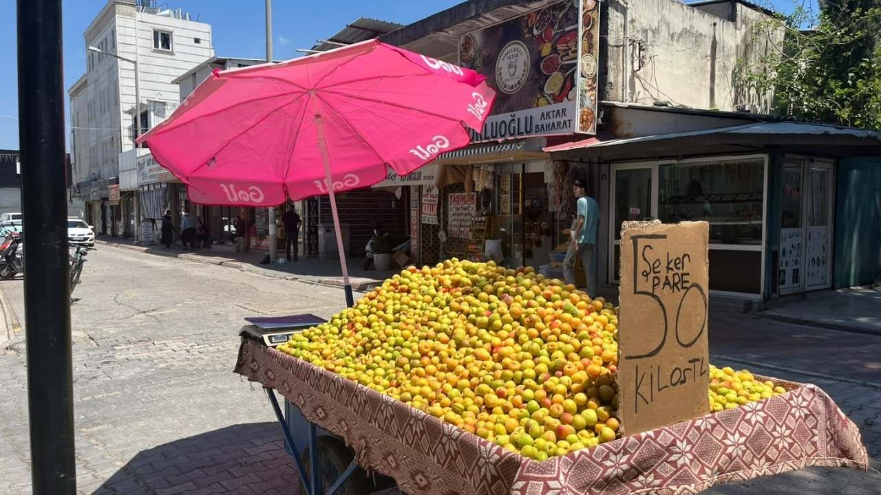 Osmaniye Sokakları Seyyar Satıcılık Nostaljisiyle Tatlandı (1)