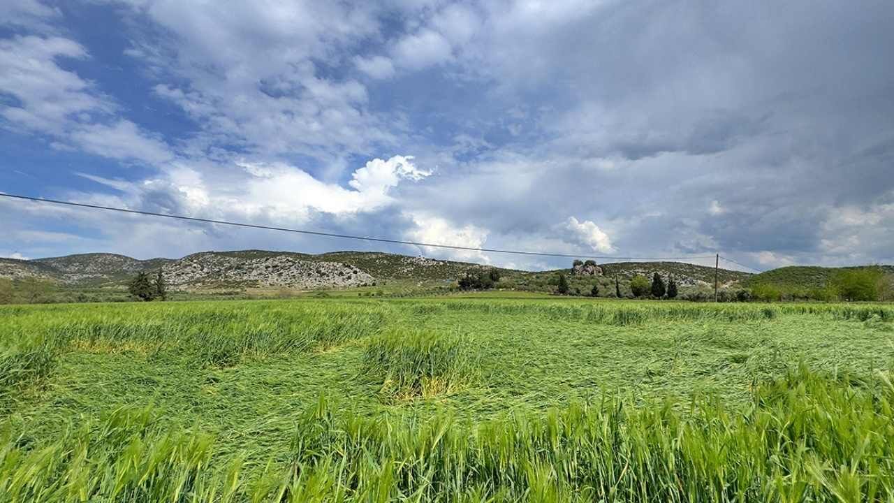 Osmaniye Tarım (5)