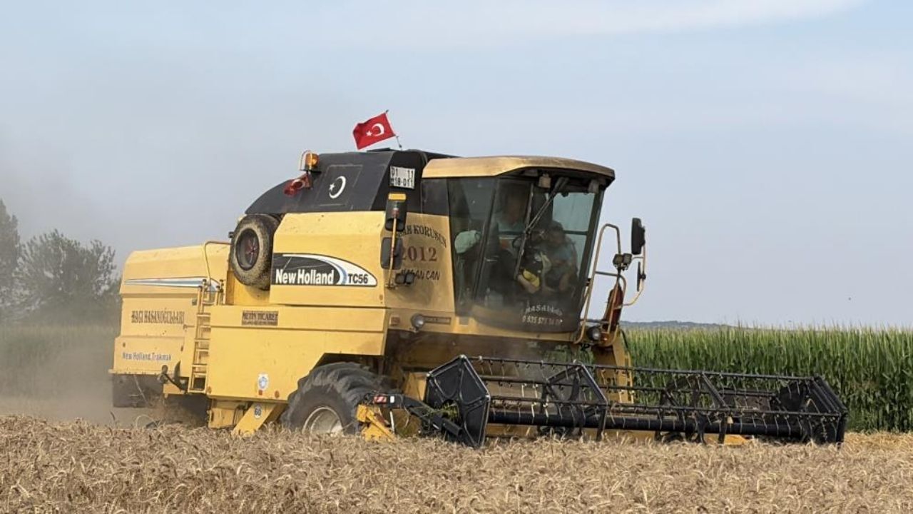 Osmaniye'de Buğday Hasadı Başladı (1)