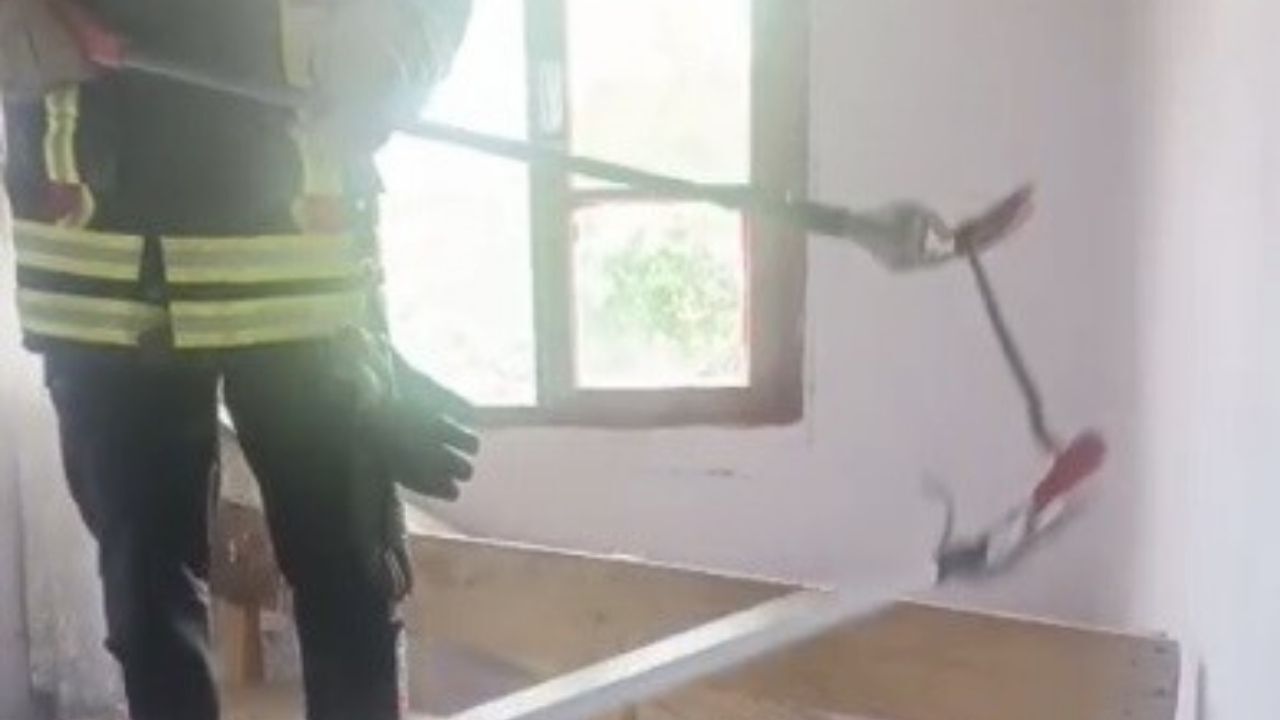 Osmaniye’de Evde Yılan Alarmı Halının Arasından Çıktı! (1)
