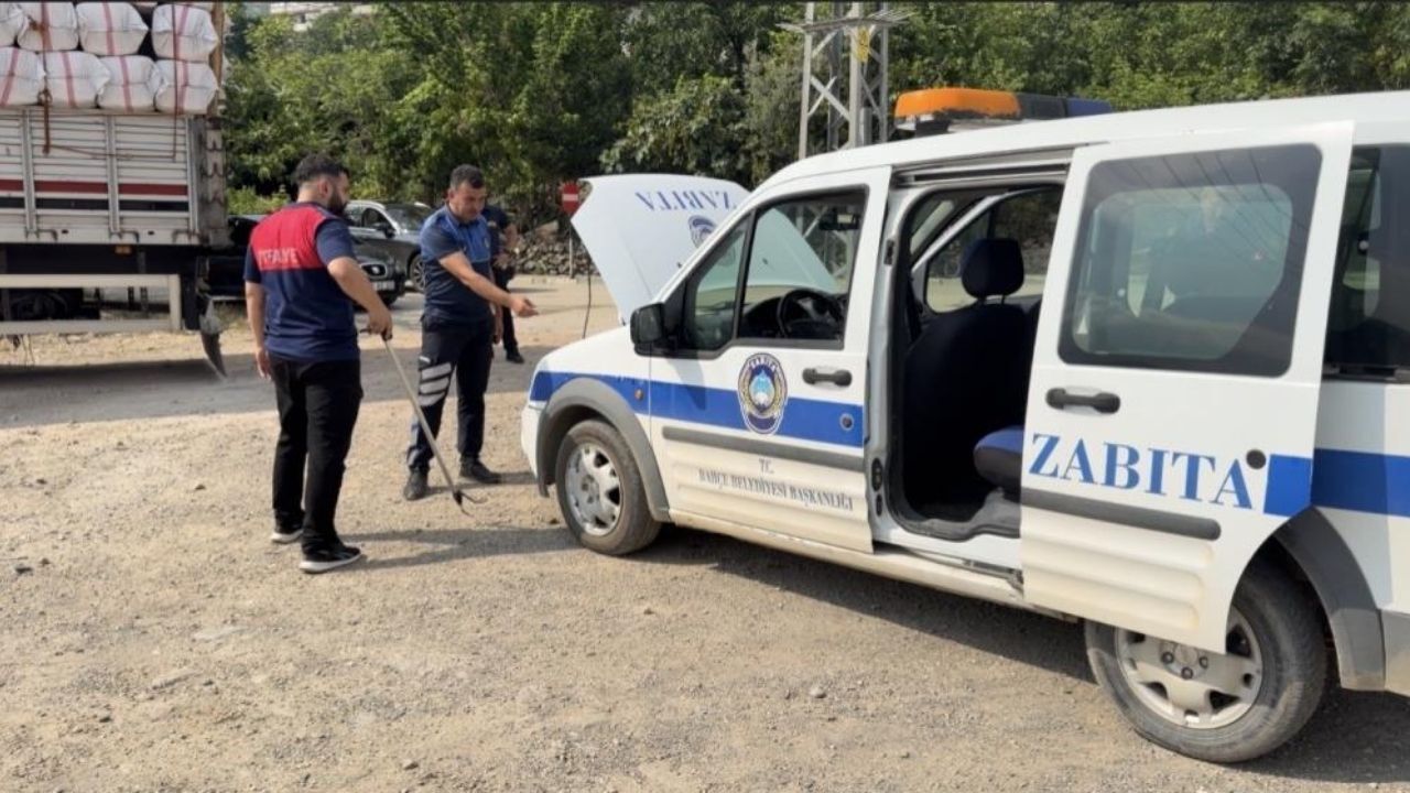 Osmaniye'de İnanılmaz Kovalamaca! Tırda Fark Edilen Yılan Bakın Nerelerden Çıktı (3)