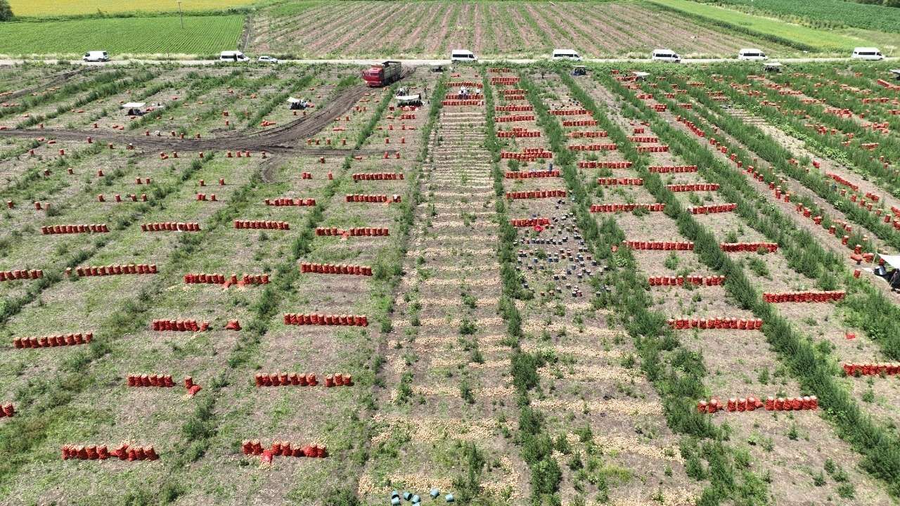 Osmaniye’de Tarımın Kalbi Dervişiye’de Attı (1)