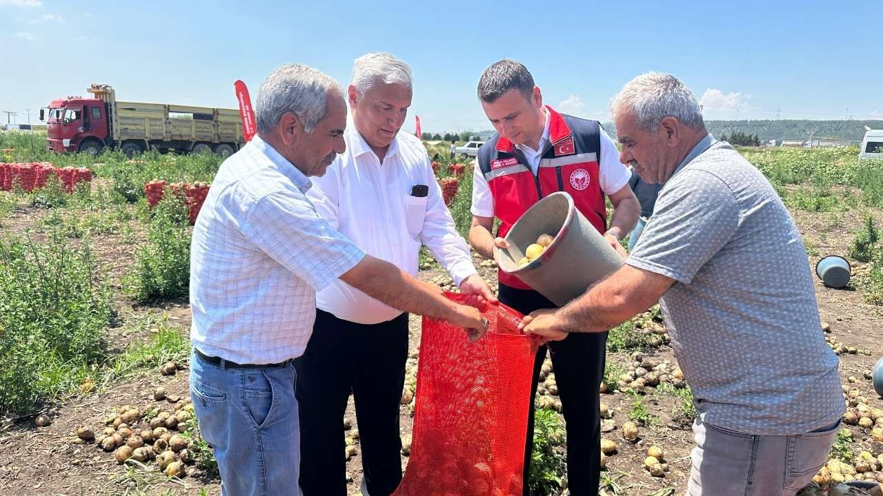 Osmaniye’de Tarımın Kalbi Dervişiye’de Attı (2)