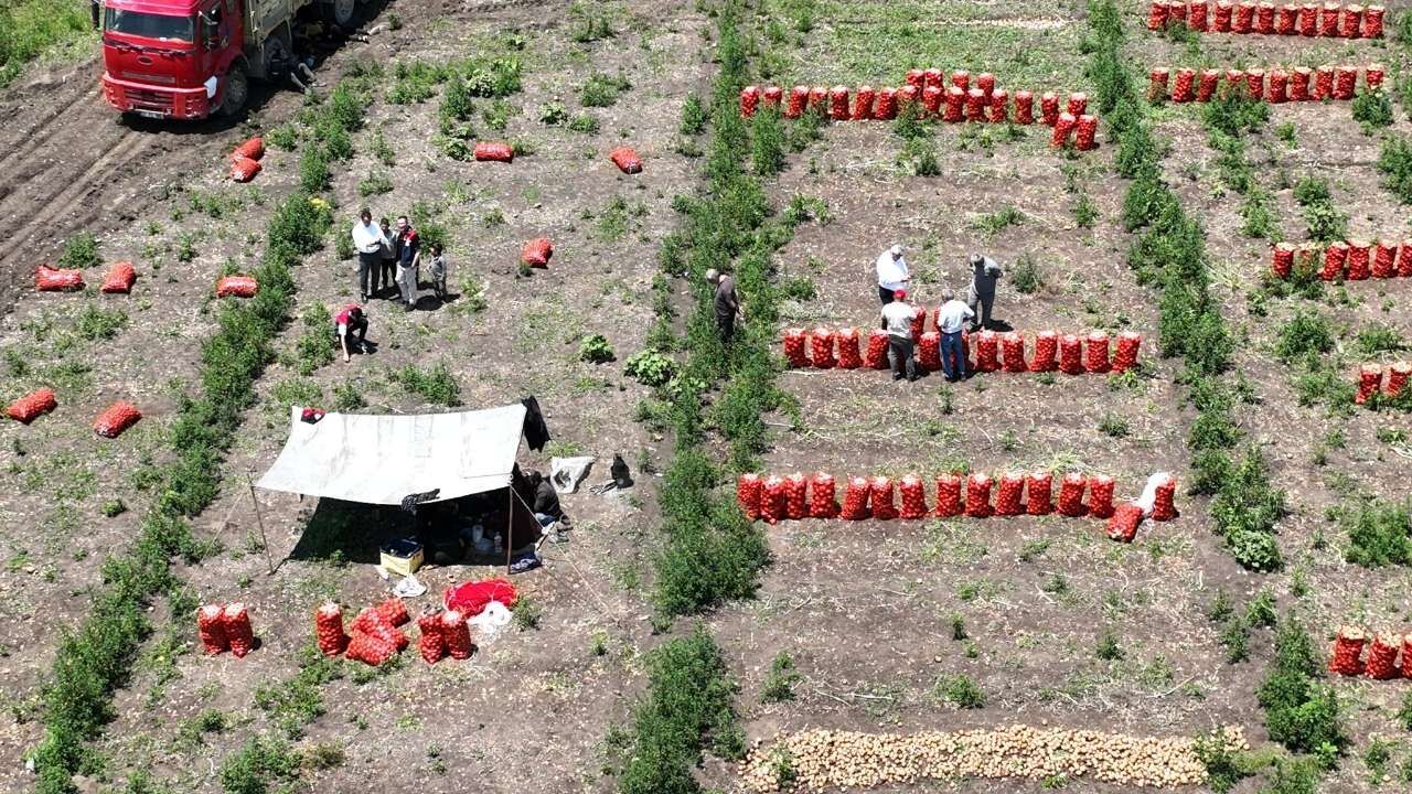 Osmaniye’de Tarımın Kalbi Dervişiye’de Attı