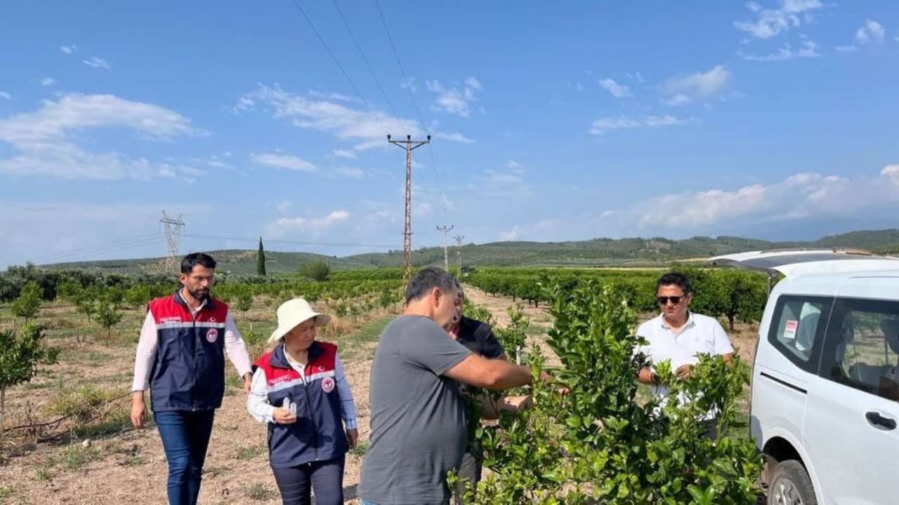 Osmaniye’de Zararlılara Karşı Doğal Ordu (2)