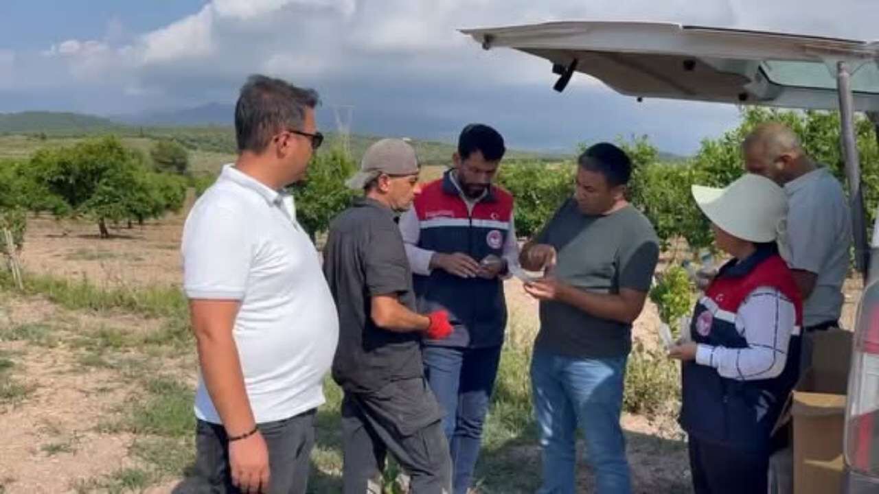 Osmaniye’de Zararlılara Karşı Doğal Ordu