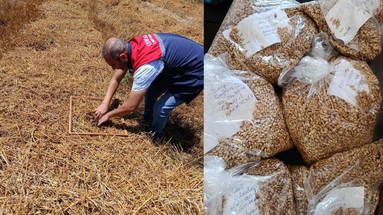 Osmaniyeli Çiftçinin Alın Teri Zayi Olmayacak (1)