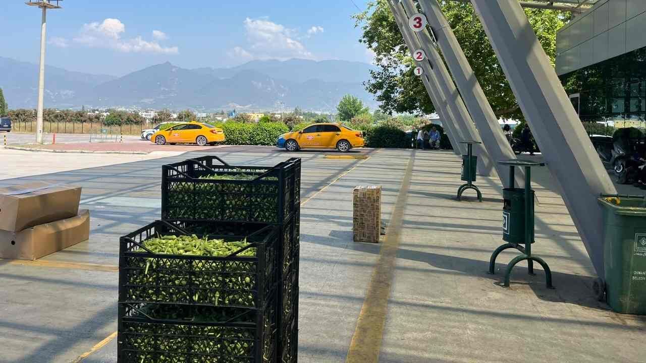 Osmaniye'nin Yeşil Altını Otobüs Bagajlarında (3)