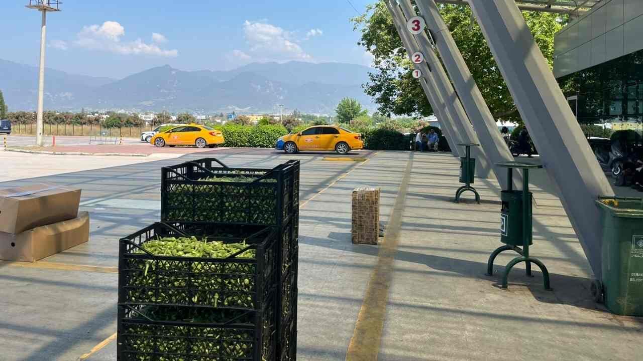 Osmaniye’nin Yeşil Altını Otobüse Bindi, İl İl Türkiye Turuna Çıktı (1)