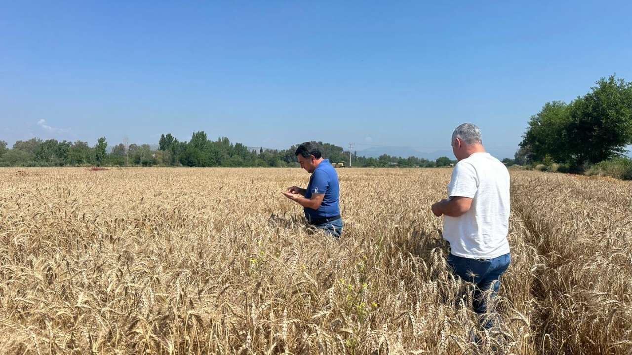 Tarımda Yüksek Verim Için Osmaniye'de Kollar Sıvandı (3)
