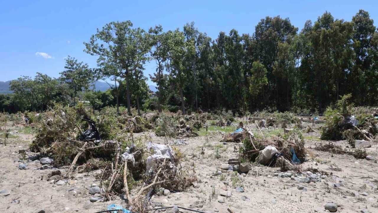 Taşan Asi Nehri Tarım Arazilerini Vurdu (2)