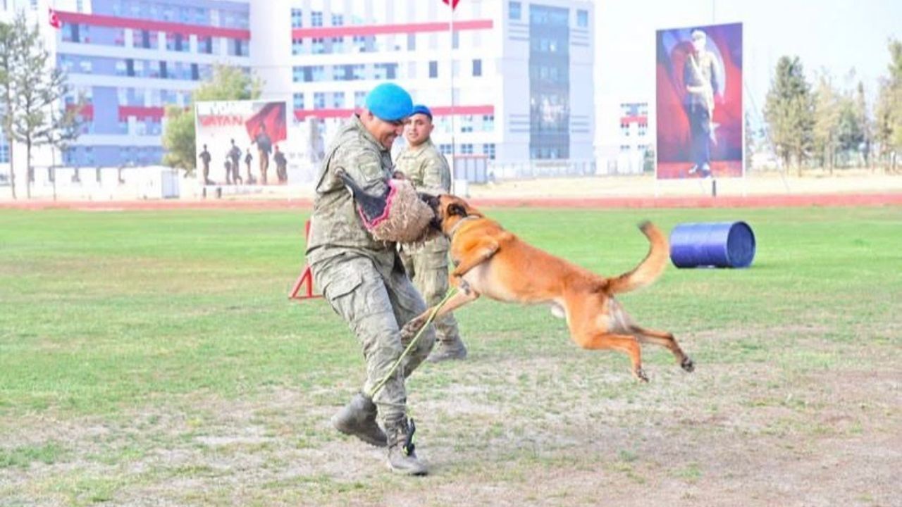 Türk Kara Kuvvetleri’nin 2235. Kuruluş Yıl Dönümü Osmaniye’de Kutlandı (1)