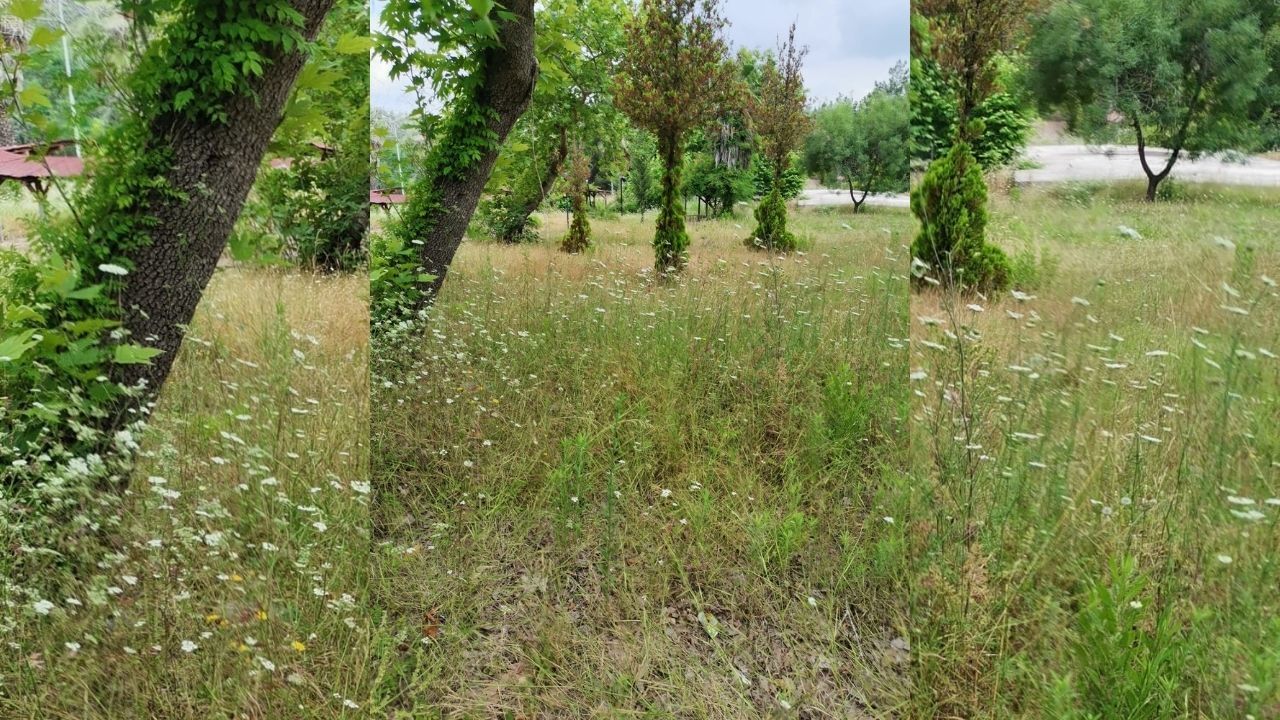 Üç Kişilik Ekip Biçse Temizlenecek Yer Kaderine Terk Edildi Hasta Yakınları Tedirgin 2
